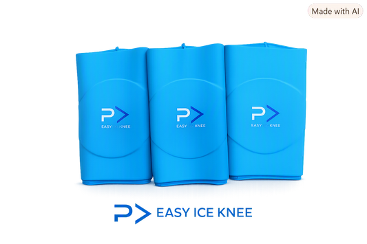 PaceEasyIce 3D